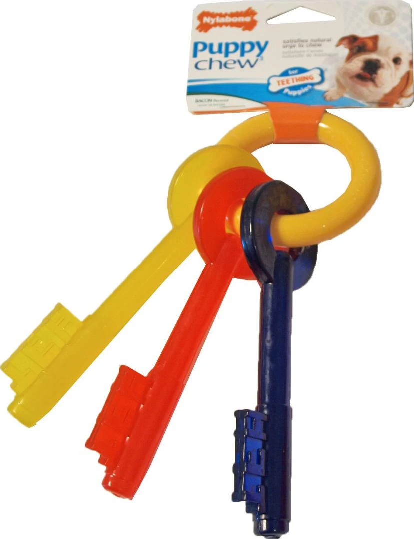 NylaBone Puppy Chew Teething Key S 1 NylaBone Puppy Chew Teething Key S