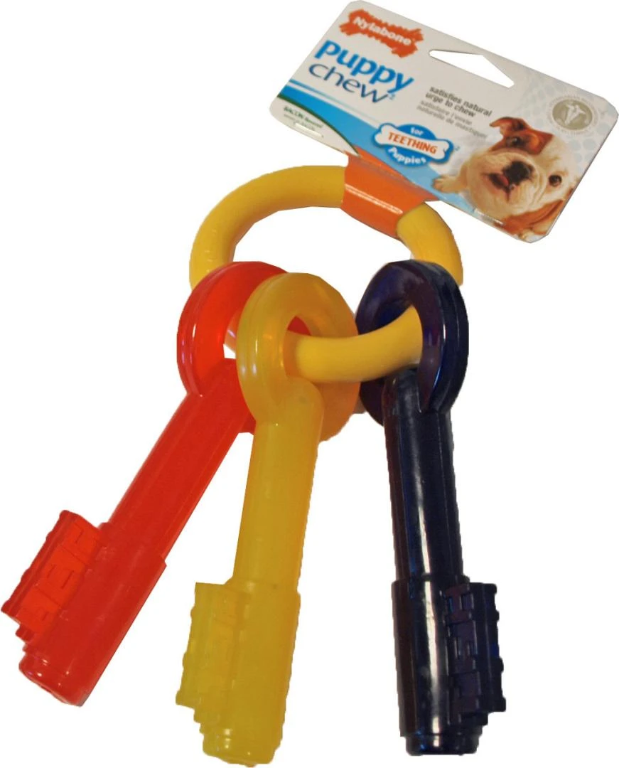 NylaBone Puppy Chew Teething Key M 1 NylaBone Puppy Chew Teething Key M