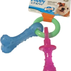 NylaBone Puppy Chew Teething Pacifer