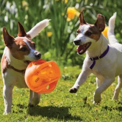 Kong Jumbler Ball Assorti 11 Kong Jumbler Ball Assorti -Aanbiedingen Snoef Poot Winkel 0035585034089 met honden