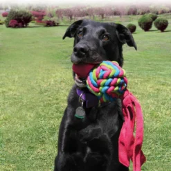 Kong Wubba Weaves Assorti -Aanbiedingen Snoef Poot Winkel 0035585800899 75 89 met hond