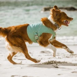 Hurtta Cooling Wrap Aquamarine -Aanbiedingen Snoef Poot Winkel 0227271 met hond