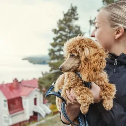 Hurtta Hondenlijn Standard Razzle Dazzle Blackberry -Aanbiedingen Snoef Poot Winkel 0228716 met hond