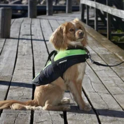 Baltic Hondenzwemvest Mascot Groen/Zwart 5 Baltic Hondenzwemvest Mascot Groen/Zwart -Aanbiedingen Snoef Poot Winkel 0229510 met hond