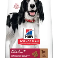 Hill's Science Plan Adult Medium Lam & Rijst 12 Kg