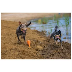 Beeztees Apportino Boei -Aanbiedingen Snoef Poot Winkel 0625882 2