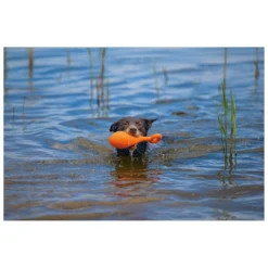 Beeztees Apportino Boei -Aanbiedingen Snoef Poot Winkel 0625882 3