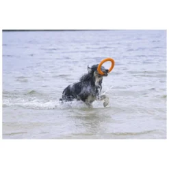 Beeztees Apportino Ring -Aanbiedingen Snoef Poot Winkel 0625883 2