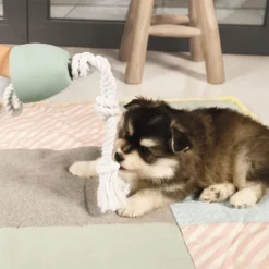 Beeztees Puppy Flostouw Pullina Groen -Aanbiedingen Snoef Poot Winkel 0641270 sfeer1