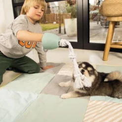 Beeztees Puppy Flostouw Pullina Groen -Aanbiedingen Snoef Poot Winkel 0641270 sfeer2