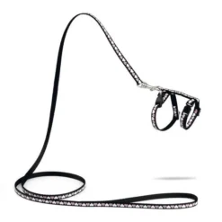 Beeztees Kittentuig Hearts -Aanbiedingen Snoef Poot Winkel 0730347