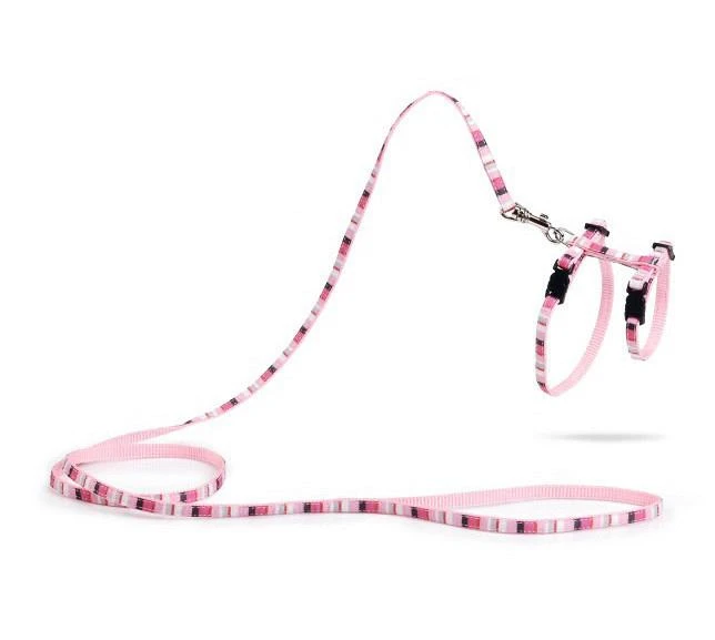 Beeztees Kittentuig Joy 1 Beeztees Kittentuig Joy