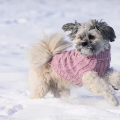 Designed By Lotte Hondentrui Haida Roze 7 Designed By Lotte Hondentrui Haida Roze -Aanbiedingen Snoef Poot Winkel 0766671 sfeer3