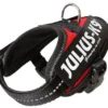 Julius K9 IDC Powerharness Red
