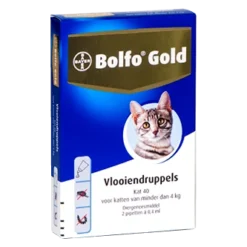 Bolfo Gold Kat 40 2 Pipetten