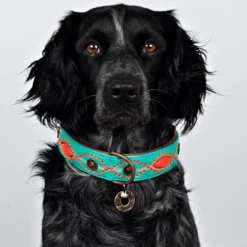 Dog With A Mission Halsband Janis 6 Dog With A Mission Halsband Janis -Aanbiedingen Snoef Poot Winkel 31mrt.2019 3044