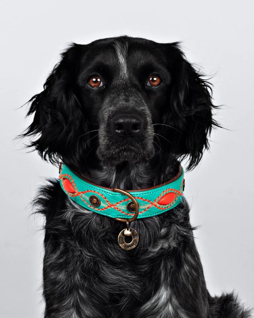 Dog With A Mission Halsband Janis 3 Dog With A Mission Halsband Janis - Afbeelding 3