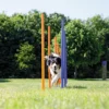 TRIXIE Dog Activity Agility Slalom