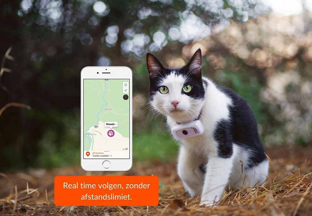Weenect Cats 2 GPS Tracker 4 Weenect Cats 2 GPS Tracker - Afbeelding 4