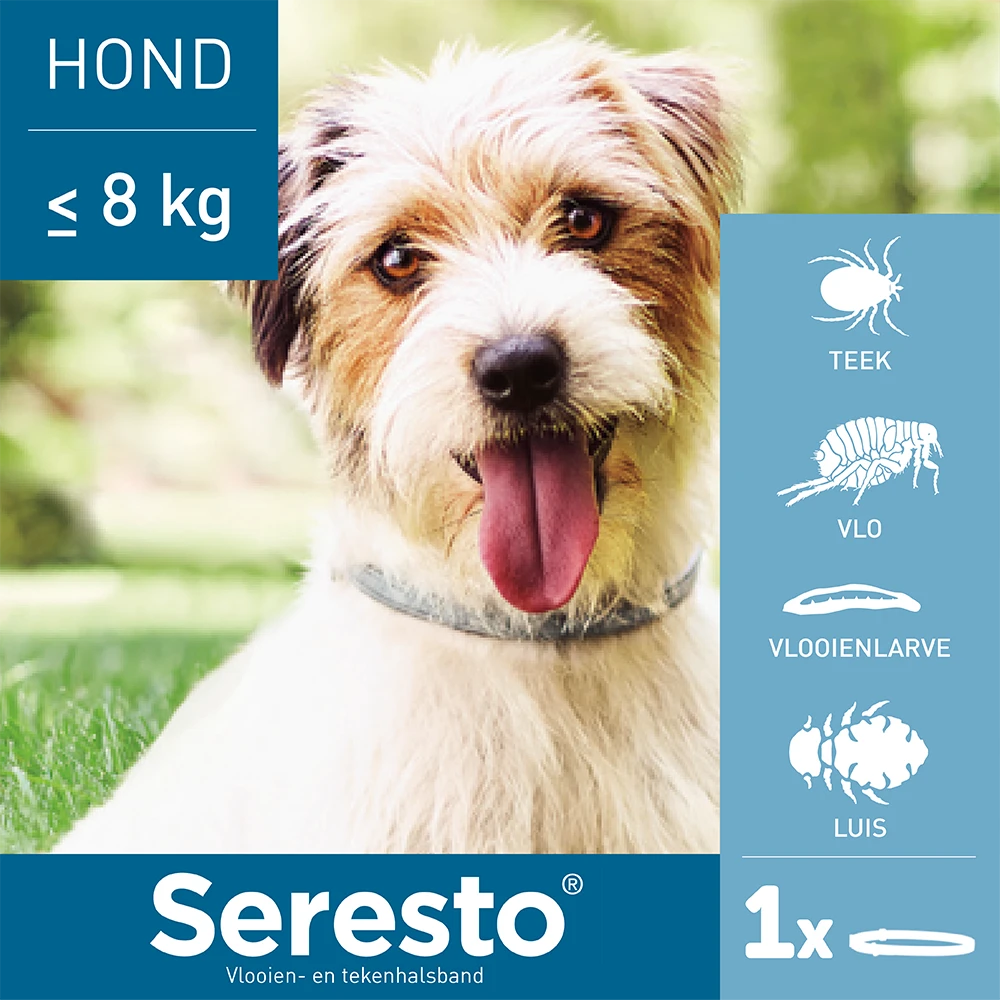 Seresto Band Voor Kleine Honden 3 Seresto Band Voor Kleine Honden - Afbeelding 3