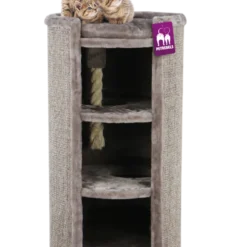 Petrebels Krabton Champions Only Superdome 100 Capp. -Aanbiedingen Snoef Poot Winkel 431211 withtagandcat