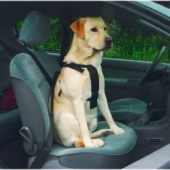 Beeztees Wandel- En Autotuig -Aanbiedingen Snoef Poot Winkel 6331