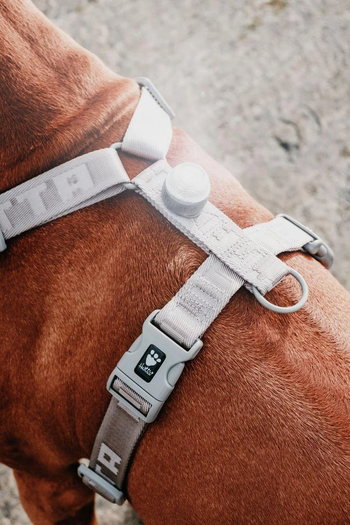 Hurtta Adventure Polar LED Lamp Shadow 4 Hurtta Adventure Polar LED Lamp Shadow - Afbeelding 4