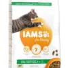 IAMS Kattenvoer Adult Lamb 10 Kg