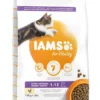 IAMS Kattenvoer Kitten Chicken 10 Kg