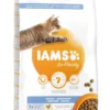 IAMS Kattenvoer Adult Dental Chicken 10 Kg