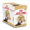 Royal Canin Kattenvoer Persian Adult 12 X 85 Gr