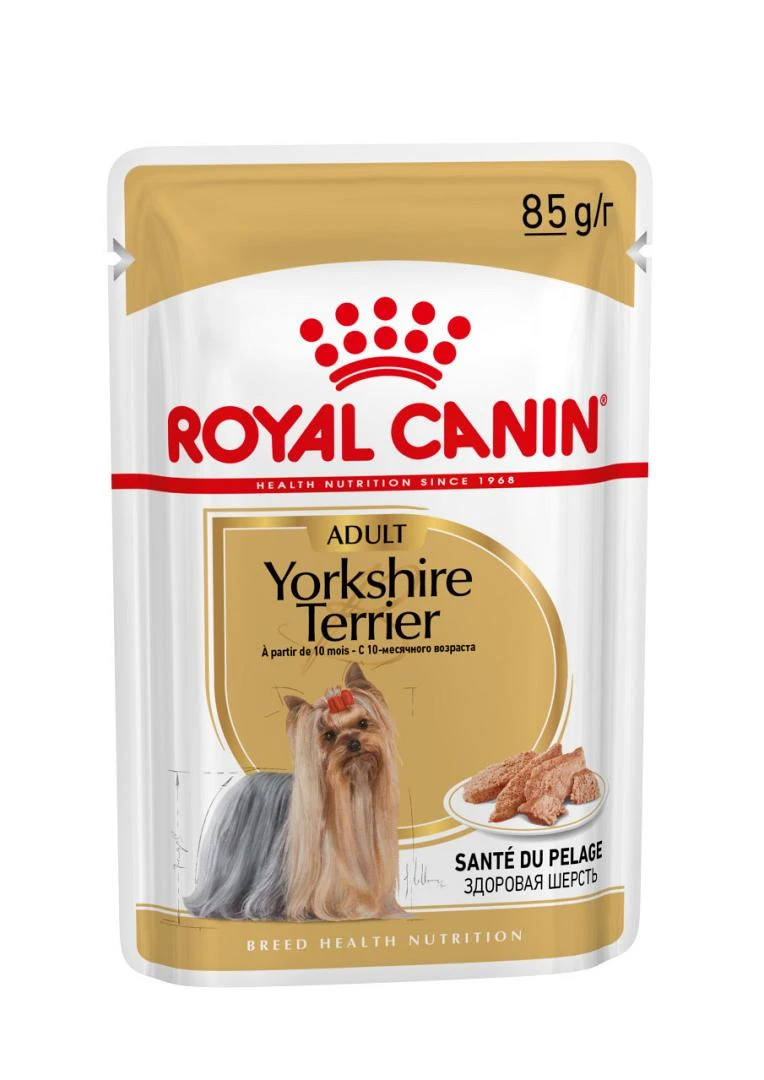 Royal Canin Hondenvoer Yorkshire Terrier Adult 12 X 85 Gr 2 Royal Canin Hondenvoer Yorkshire Terrier Adult 12 X 85 Gr - Afbeelding 2