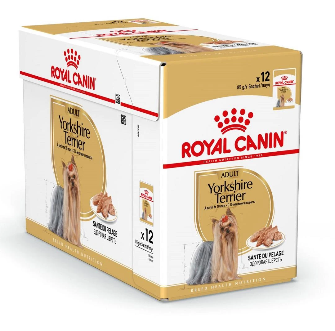 Royal Canin Hondenvoer Yorkshire Terrier Adult 12 X 85 Gr 1 Royal Canin Hondenvoer Yorkshire Terrier Adult 12 X 85 Gr