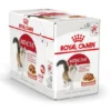 Royal Canin Kattenvoer Instinctive In Gravy 12 X 85 Gr