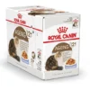 Royal Canin Kattenvoer Ageing 12+ In Jelly 12 X 85 Gr