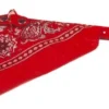 Boon Halsband Met Zakdoek Rood