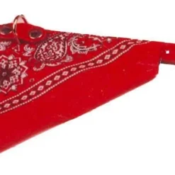 Boon Halsband Met Zakdoek Rood -Aanbiedingen Snoef Poot Winkel 9600182a