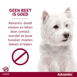 Advantix 100 4 Pipetten 7 Advantix 100 4 Pipetten -Aanbiedingen Snoef Poot Winkel Advantix geenbeetisgoed 2