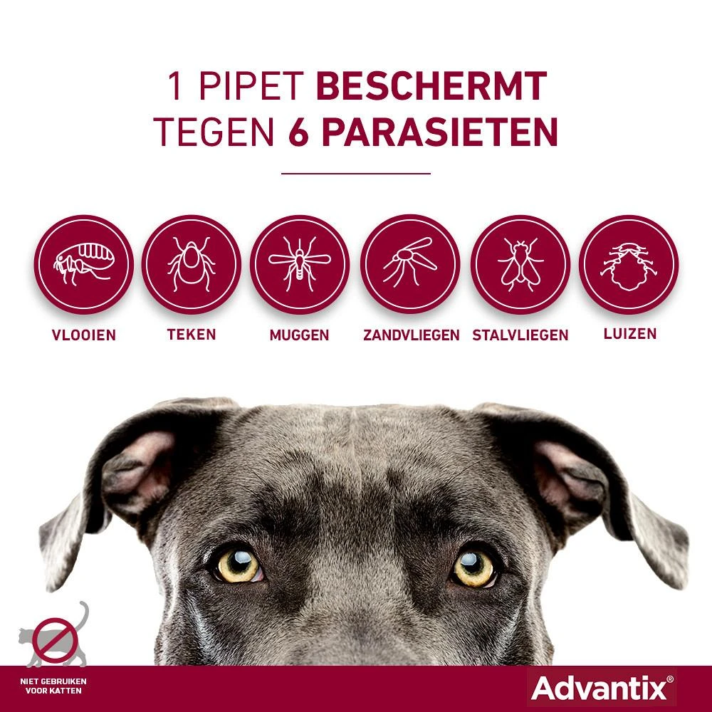 Advantix 40 4 Pipetten 3 Advantix 40 4 Pipetten - Afbeelding 3