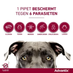 Advantix 400 4 Pipetten -Aanbiedingen Snoef Poot Winkel Advantix pipettegen6parasieten 4