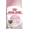 Royal Canin Kattenvoer Mother & Babycat 10 Kg