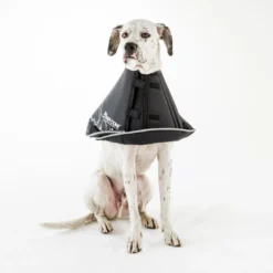 Comfy Cone Black -Aanbiedingen Snoef Poot Winkel CCML 3