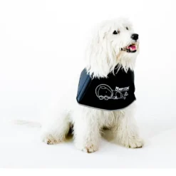 Comfy Cone Black -Aanbiedingen Snoef Poot Winkel CCS 1