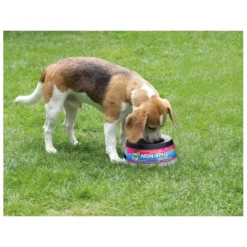 Road Refresher Grijs -Aanbiedingen Snoef Poot Winkel LGRR 3