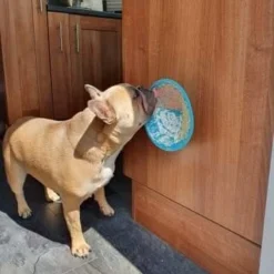 Lickimat Splash Turquoise 19 Cm 5 Lickimat Splash Turquoise 19 Cm -Aanbiedingen Snoef Poot Winkel Lickimat 3