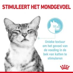 Royal Canin Kattenvoer Sensory Feel In Gravy 12 X 85 Gr -Aanbiedingen Snoef Poot Winkel RC SPT WET SensFeelMIG CV 1 nl NL