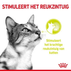 Royal Canin Kattenvoer Sensory Smell In Gravy 12 X 85 Gr -Aanbiedingen Snoef Poot Winkel RC SPT WET SensSmellCIG CV 1 nl NL