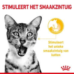 Royal Canin Kattenvoer Sensory Taste In Gravy 12 X 85 Gr -Aanbiedingen Snoef Poot Winkel RC SPT WET SensTasteCIG CV 1 nl NL