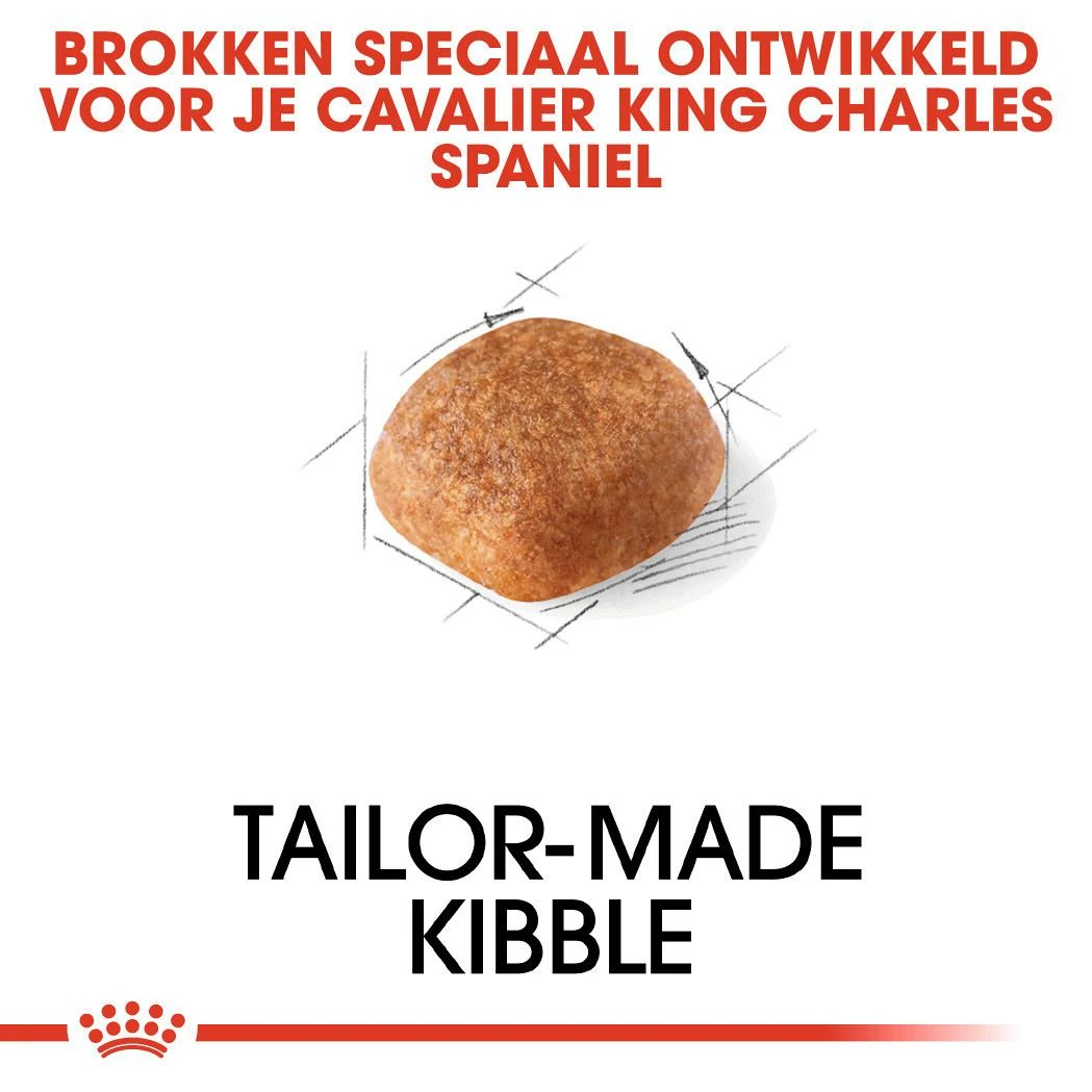 Royal Canin Hondenvoer Cavalier King Charles Adult 7,5 Kg 2 Royal Canin Hondenvoer Cavalier King Charles Adult 7,5 Kg - Afbeelding 2