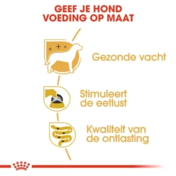 Royal Canin Hondenvoer Yorkshire Terrier Adult 12 X 85 Gr 7 Royal Canin Hondenvoer Yorkshire Terrier Adult 12 X 85 Gr -Aanbiedingen Snoef Poot Winkel RIVHEA 4